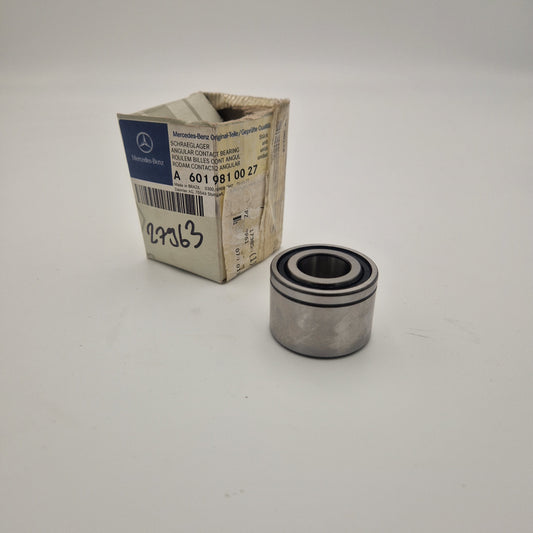Schraeglager A6019810027