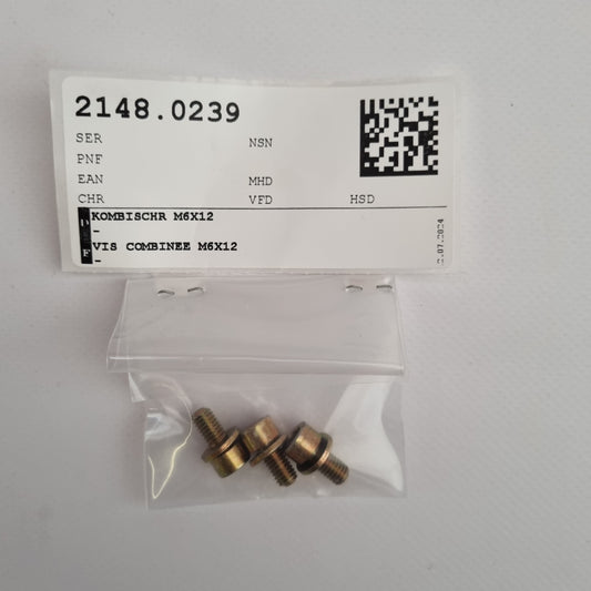 COMBINATION SCREW M6X12 914021006001