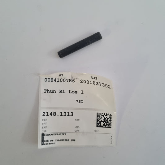 SCHARNIERSTIFT A4619880158