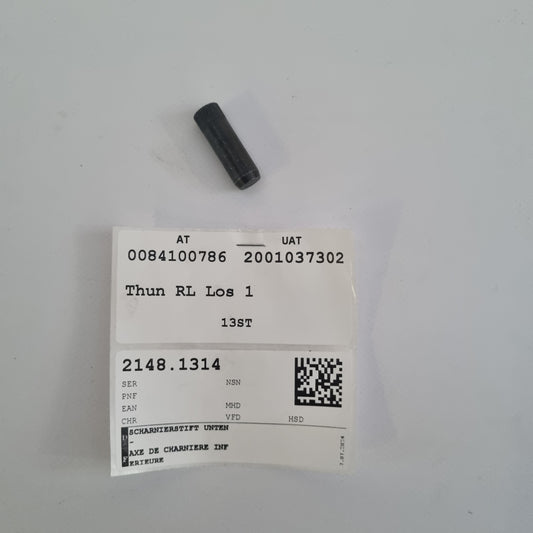 SCHARNIERSTIFT UNTEN A4619880258