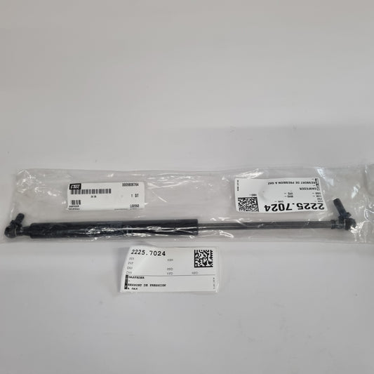 GAS SPRING A0009808764