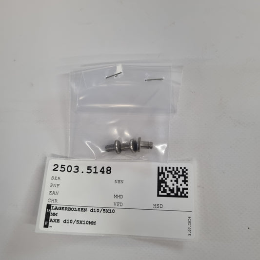 LAGERBOLZEN d10/5X10MM